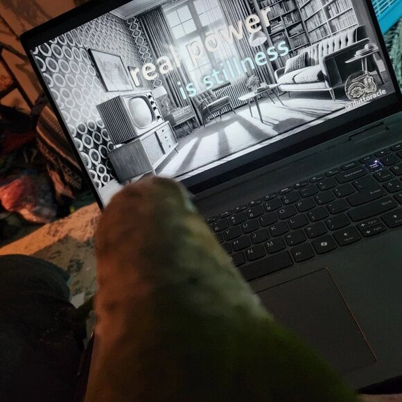 Window Shopping Show – Tap ♥ for Updates - Picture 4 of 4